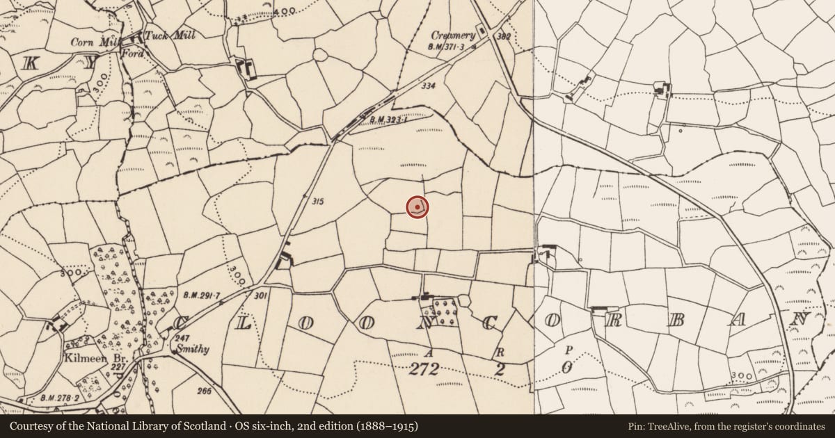 Ordnance Survey six-inch map, 2nd edition (1888–1915) covering the location of Ringfort - rath, Clooncorban, County Cork, with a pin at the register's coordinates