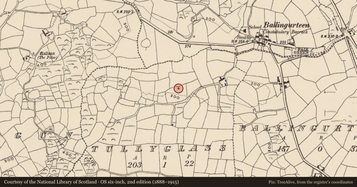 Ordnance Survey six-inch map, 2nd edition (1888–1915) covering the location of Standing stone, Tullyglass, County Cork, with a pin at the register's coordinates