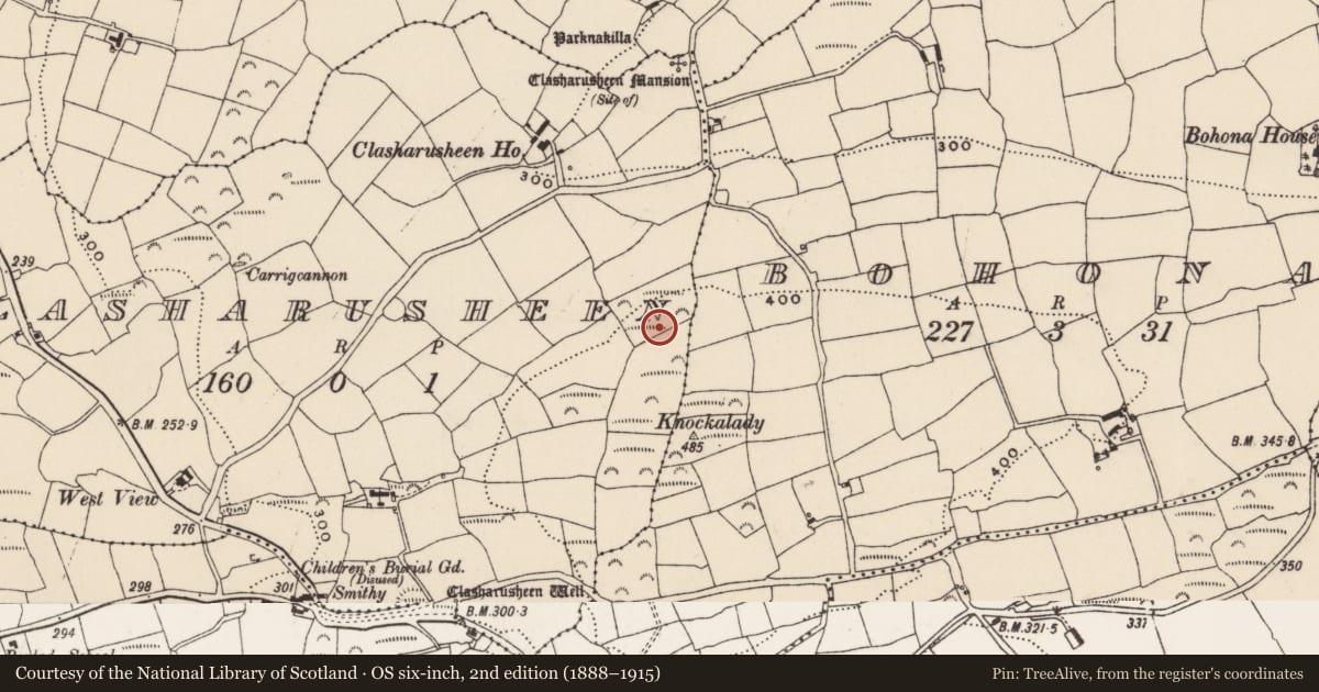 Ordnance Survey six-inch map, 2nd edition (1888–1915) covering the location of Standing stone, Clasharusheen, County Cork, with a pin at the register's coordinates