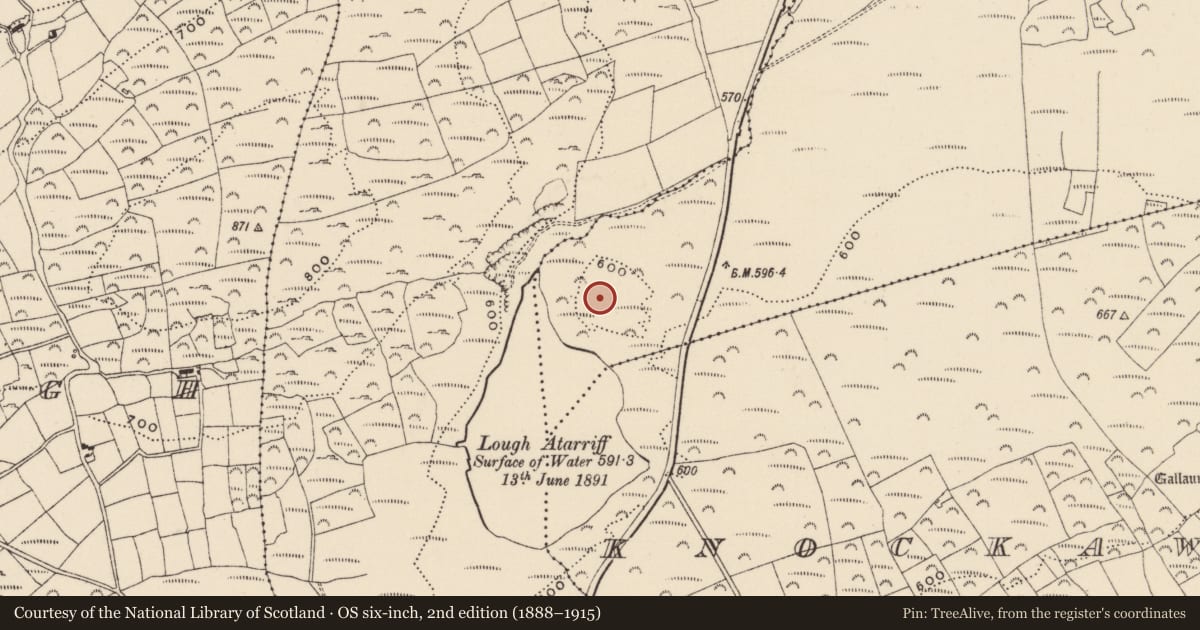 Ordnance Survey six-inch map, 2nd edition (1888–1915) covering the location of Enclosure, Knockawaddra, County Cork, with a pin at the register's coordinates