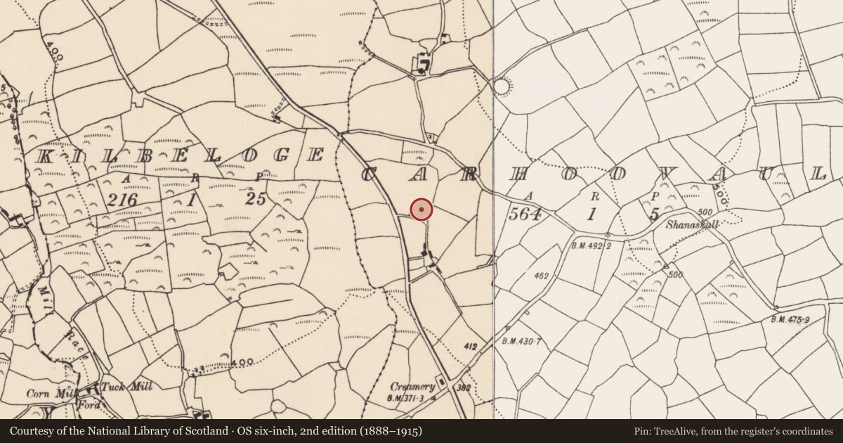 Ordnance Survey six-inch map, 2nd edition (1888–1915) covering the location of Fulacht fia, Carhoovauler, County Cork, with a pin at the register's coordinates