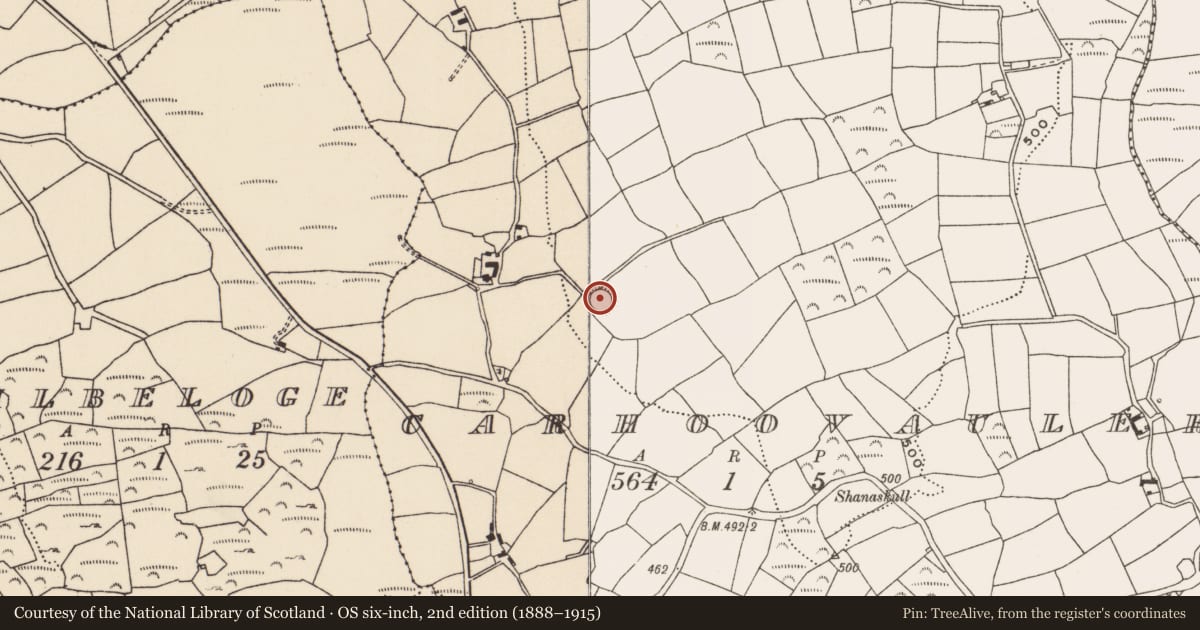 Ordnance Survey six-inch map, 2nd edition (1888–1915) covering the location of Souterrain, Carhoovauler, County Cork, with a pin at the register's coordinates