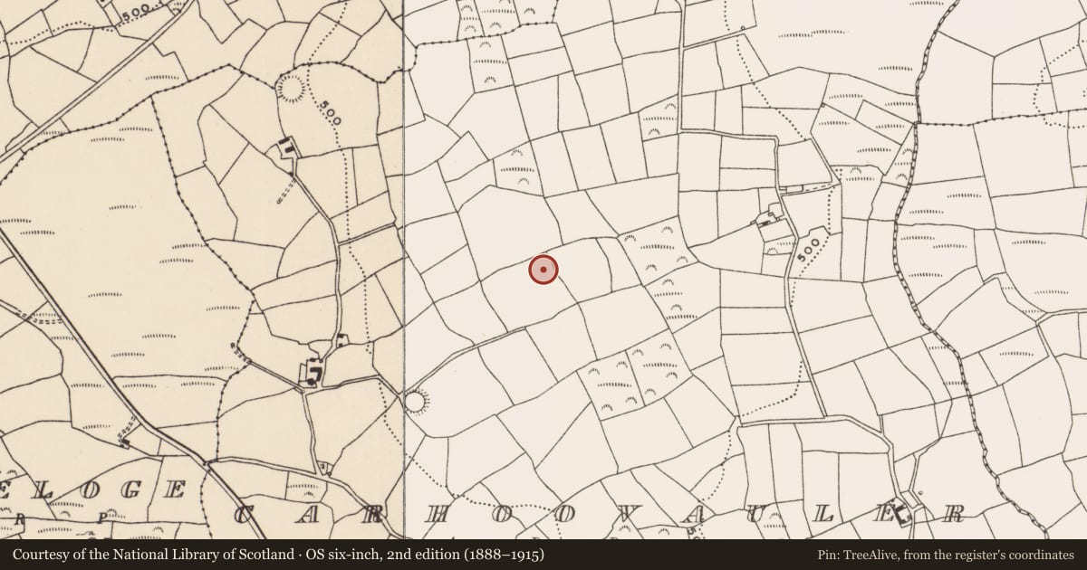 Ordnance Survey six-inch map, 2nd edition (1888–1915) covering the location of Enclosure, Carhoovauler, County Cork, with a pin at the register's coordinates