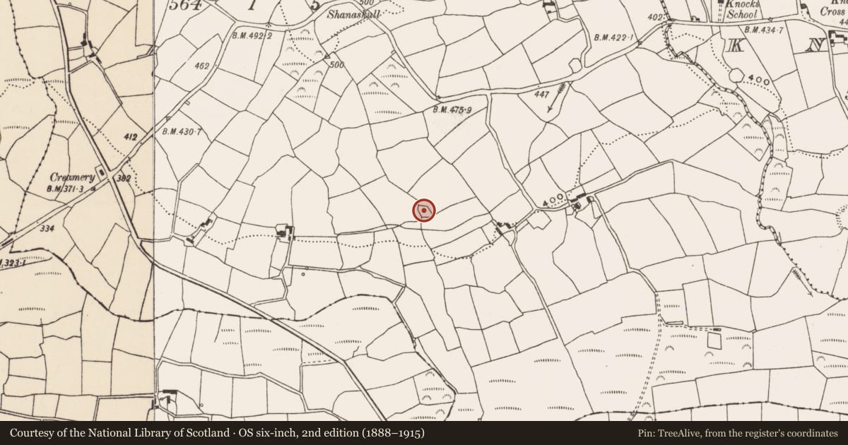 Ordnance Survey six-inch map, 2nd edition (1888–1915) covering the location of Ringfort - rath, Carhoovauler, County Cork, with a pin at the register's coordinates