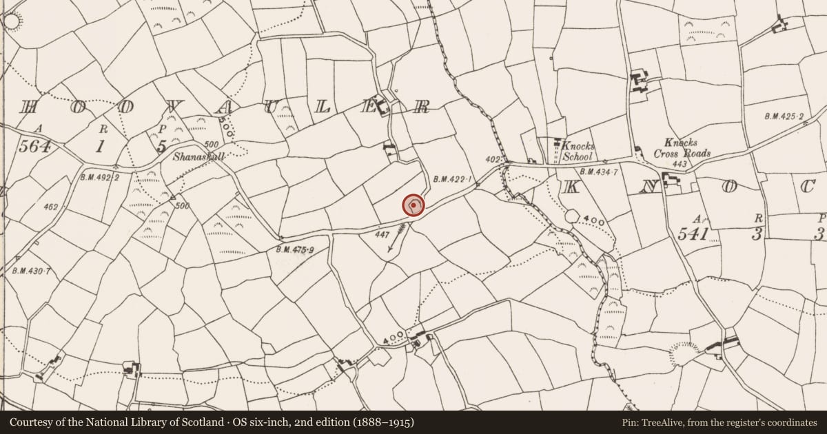 Ordnance Survey six-inch map, 2nd edition (1888–1915) covering the location of Ringfort - rath, Carhoovauler, County Cork, with a pin at the register's coordinates