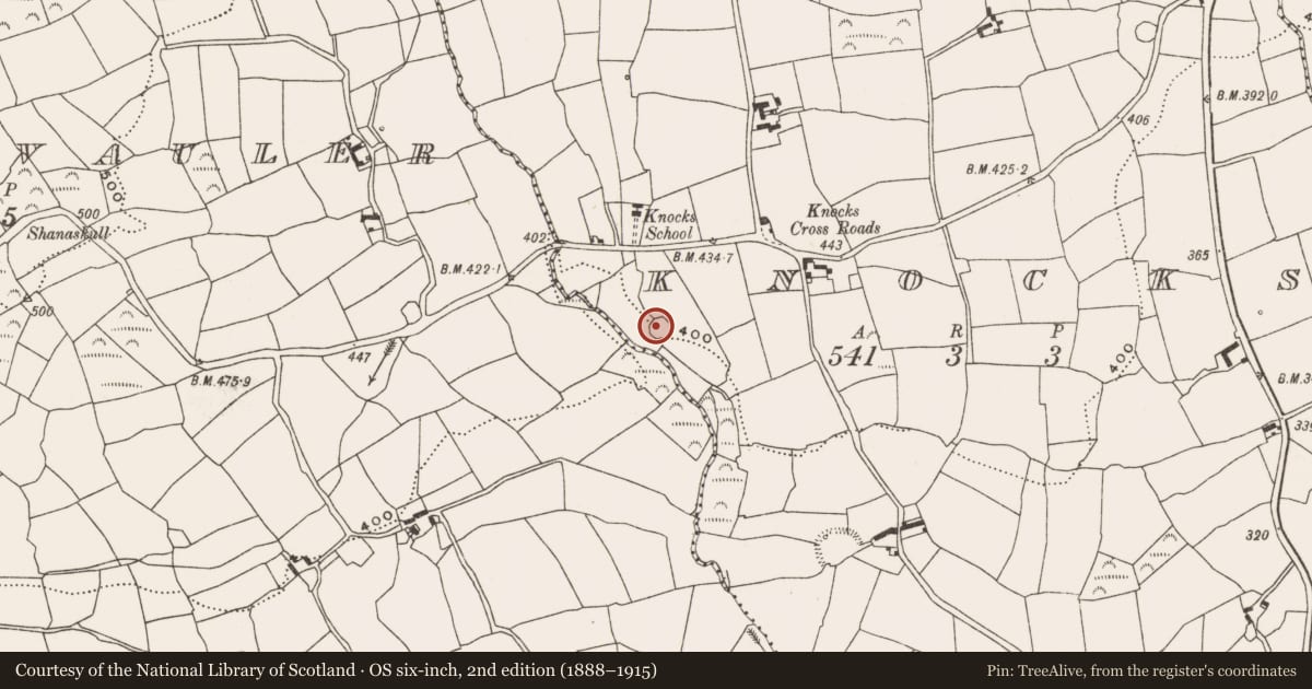 Ordnance Survey six-inch map, 2nd edition (1888–1915) covering the location of Ringfort - rath, Knocks, County Cork, with a pin at the register's coordinates