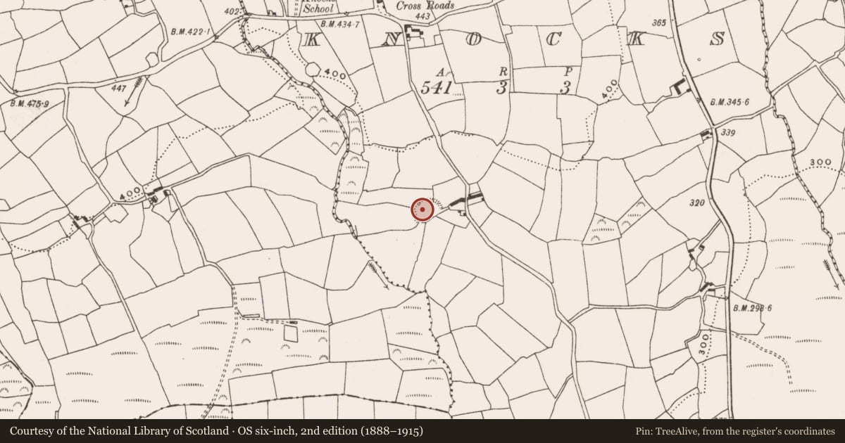 Ordnance Survey six-inch map, 2nd edition (1888–1915) covering the location of Ringfort - rath, Knocks, County Cork, with a pin at the register's coordinates