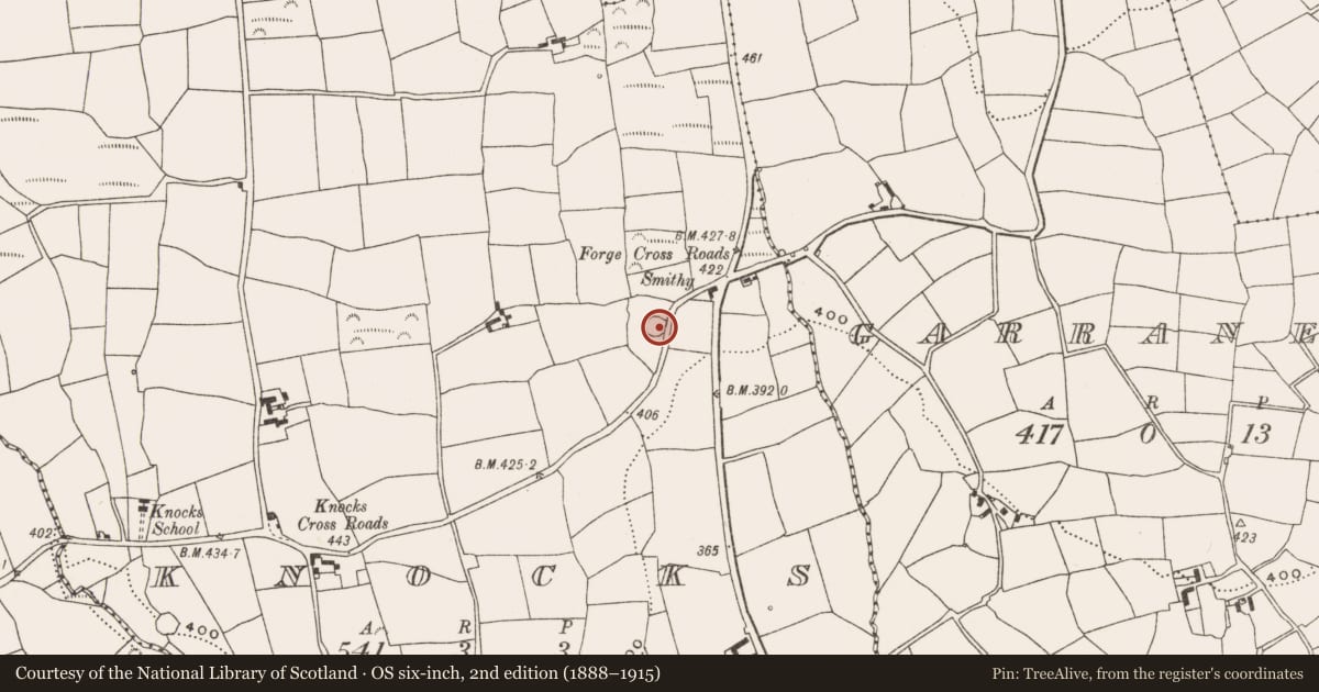 Ordnance Survey six-inch map, 2nd edition (1888–1915) covering the location of Ringfort - rath, Knocks, County Cork, with a pin at the register's coordinates