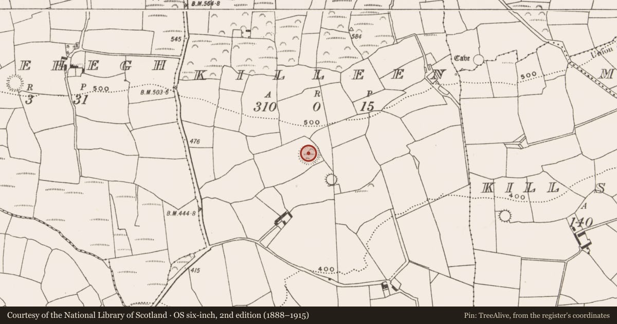Ordnance Survey six-inch map, 2nd edition (1888–1915) covering the location of Ringfort - rath, Killeen, County Cork, with a pin at the register's coordinates