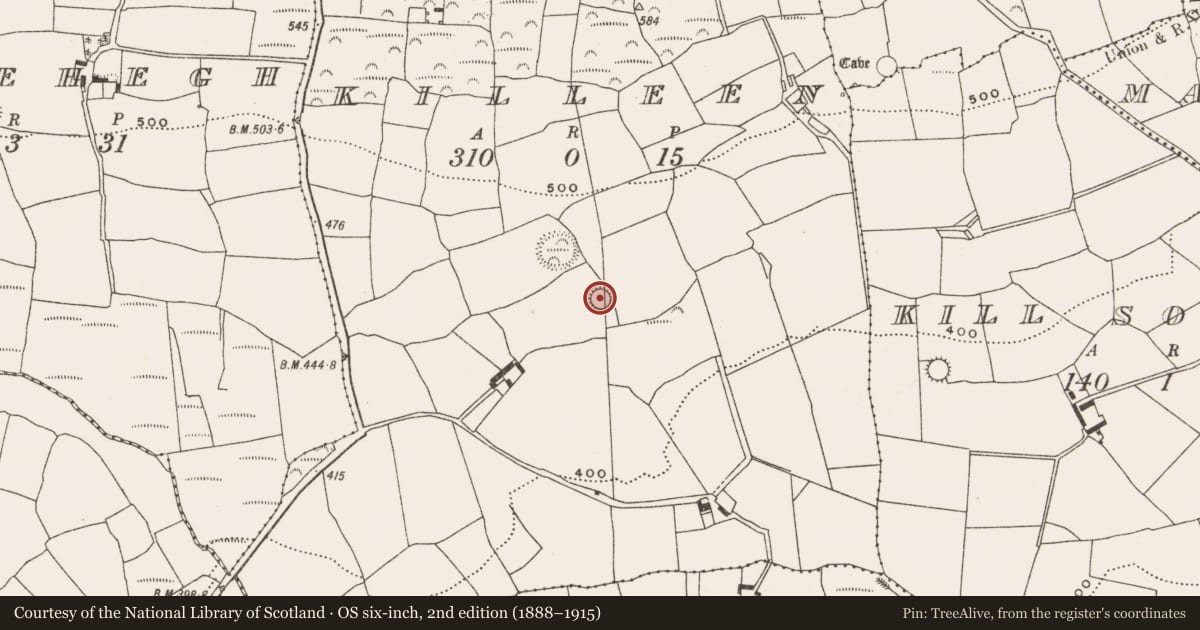 Ordnance Survey six-inch map, 2nd edition (1888–1915) covering the location of Ringfort - rath, Killeen, County Cork, with a pin at the register's coordinates