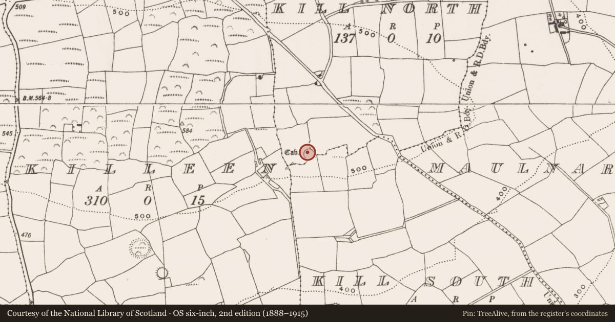 Ordnance Survey six-inch map, 2nd edition (1888–1915) covering the location of Ringfort - rath, Kill North, County Cork, with a pin at the register's coordinates