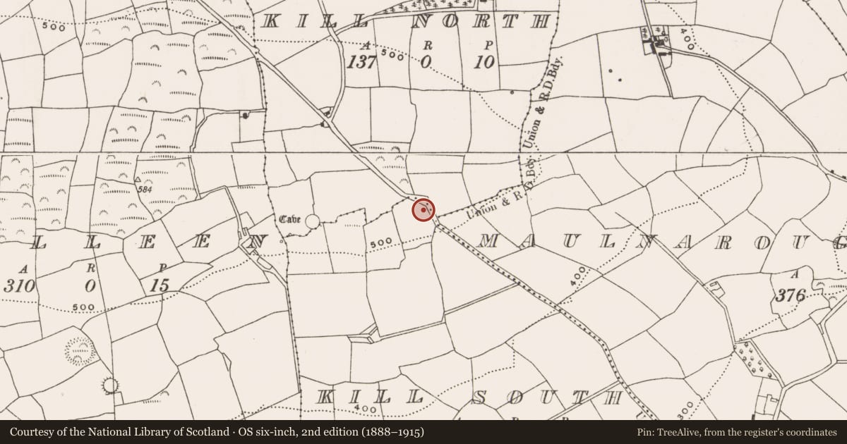 Ordnance Survey six-inch map, 2nd edition (1888–1915) covering the location of Burial ground, Kill South, County Cork, with a pin at the register's coordinates