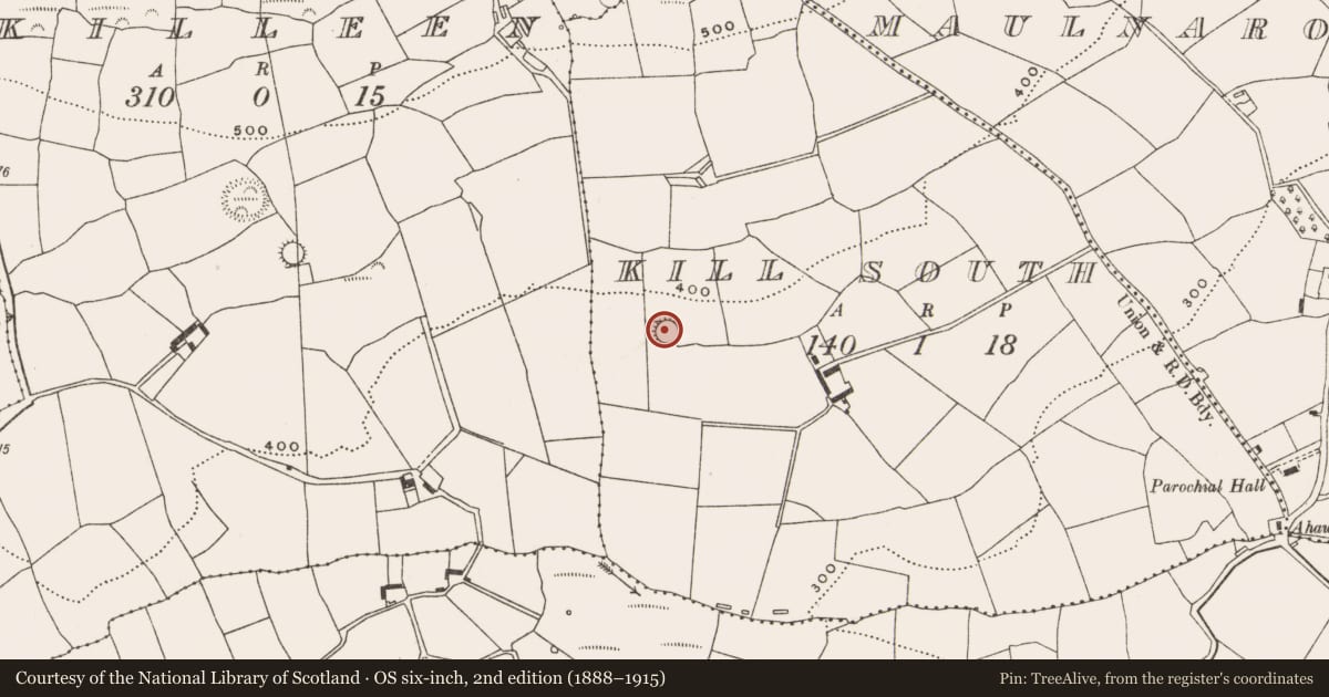 Ordnance Survey six-inch map, 2nd edition (1888–1915) covering the location of Ringfort - rath, Kill South, County Cork, with a pin at the register's coordinates