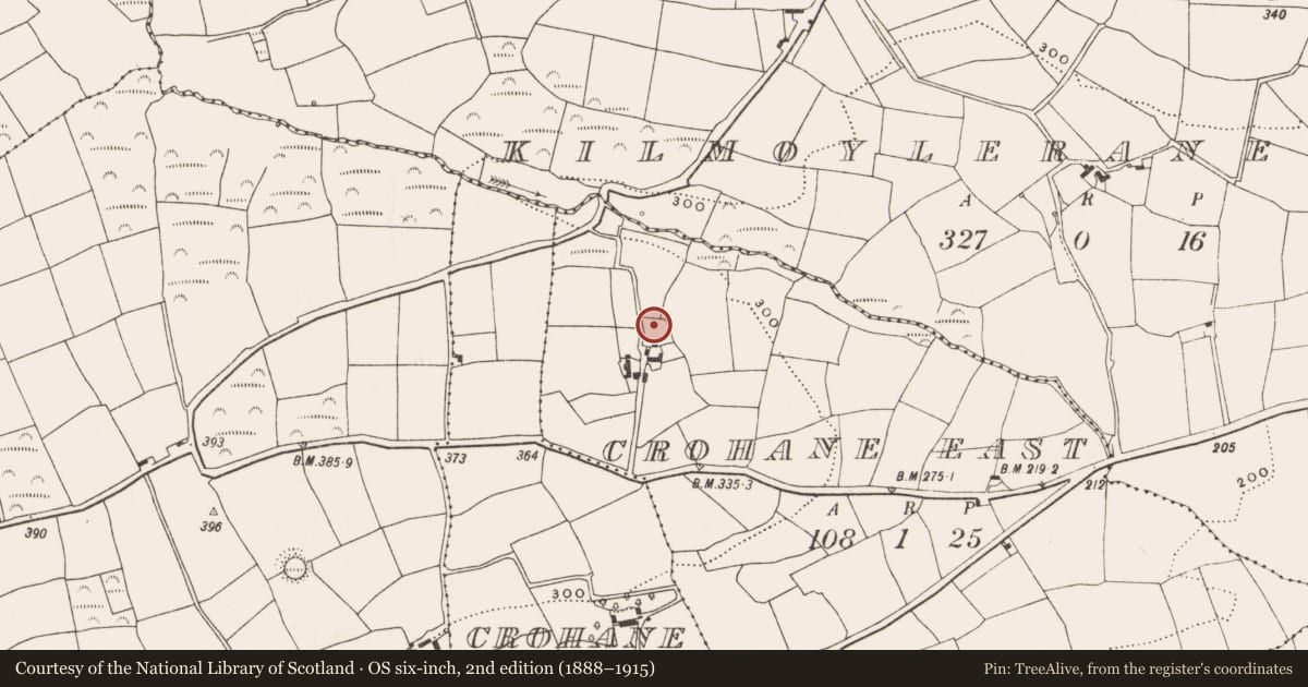 Ordnance Survey six-inch map, 2nd edition (1888–1915) covering the location of Souterrain, Crohane East, County Cork, with a pin at the register's coordinates
