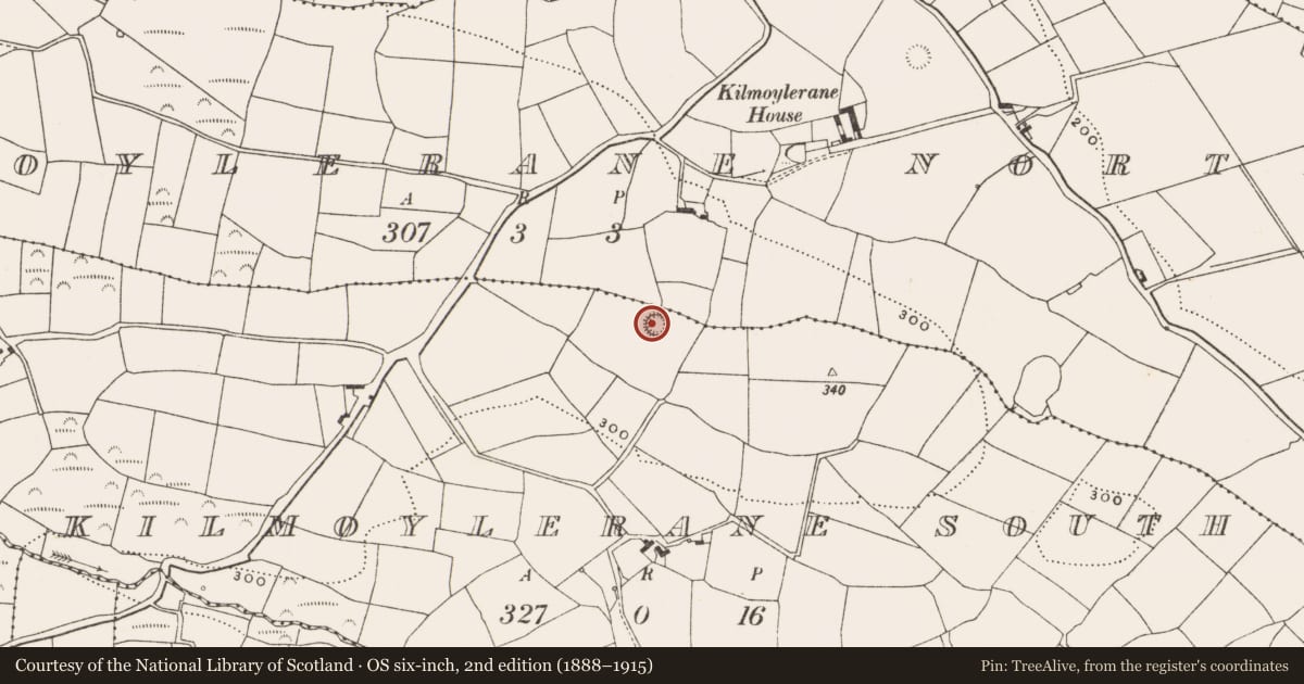 Ordnance Survey six-inch map, 2nd edition (1888–1915) covering the location of Ringfort - rath, Kilmoylerane South, County Cork, with a pin at the register's coordinates