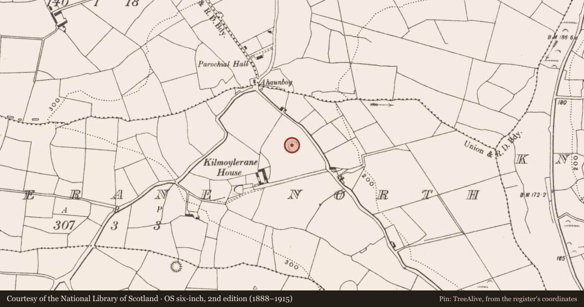 Ordnance Survey six-inch map, 2nd edition (1888–1915) covering the location of Ringfort - rath, Kilmoylerane North, County Cork, with a pin at the register's coordinates