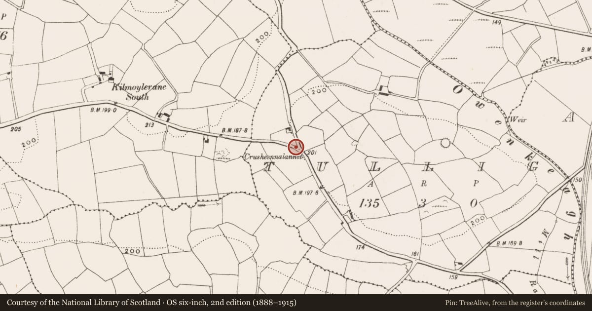 Ordnance Survey six-inch map, 2nd edition (1888–1915) covering the location of Burial ground, Tullig, County Cork, with a pin at the register's coordinates