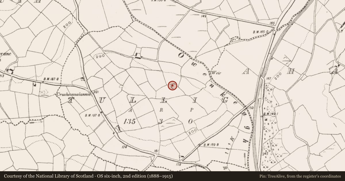 Ordnance Survey six-inch map, 2nd edition (1888–1915) covering the location of Enclosure, Tullig, County Cork, with a pin at the register's coordinates