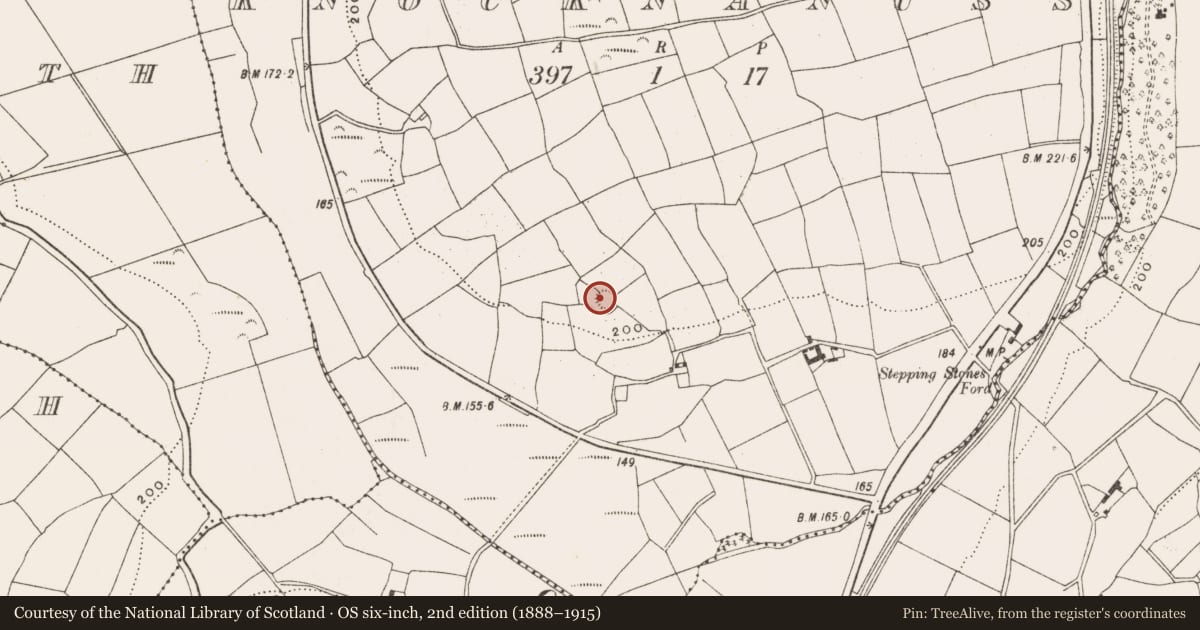 Ordnance Survey six-inch map, 2nd edition (1888–1915) covering the location of Ringfort - rath, Knocknanuss, County Cork, with a pin at the register's coordinates