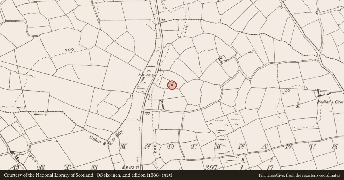 Ordnance Survey six-inch map, 2nd edition (1888–1915) covering the location of Ringfort - rath, Knocknanuss, County Cork, with a pin at the register's coordinates