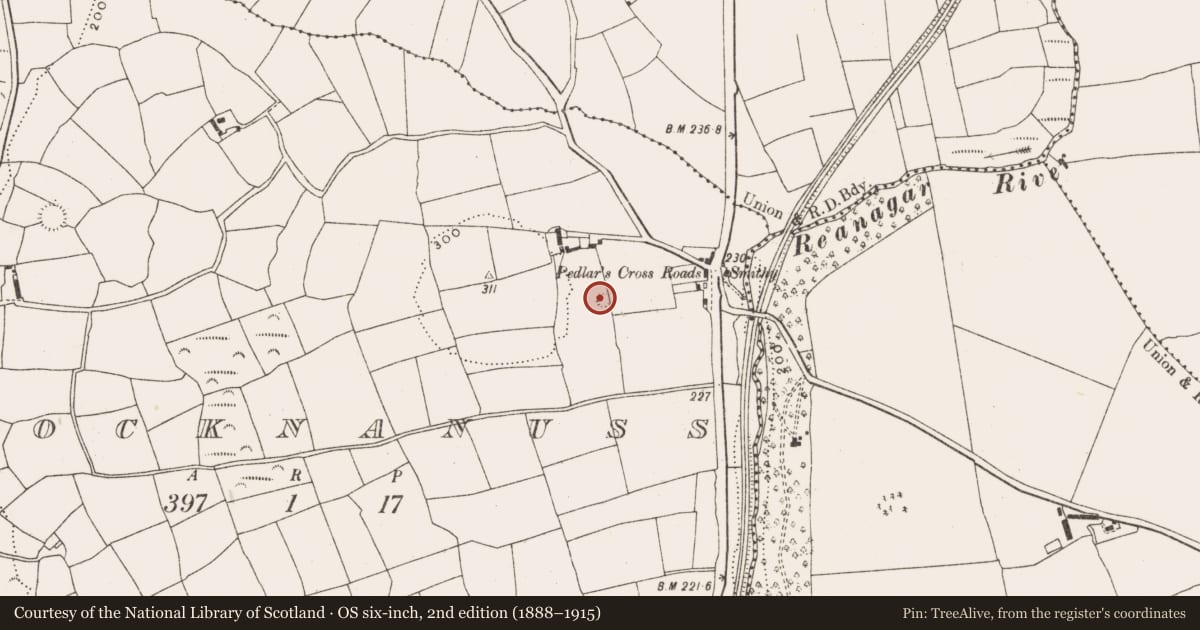 Ordnance Survey six-inch map, 2nd edition (1888–1915) covering the location of Barrow - ring-barrow, Knocknanuss, County Cork, with a pin at the register's coordinates