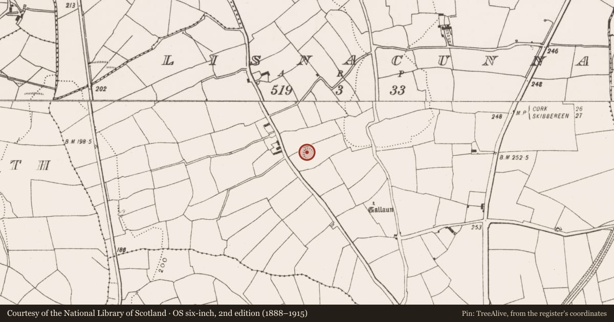Ordnance Survey six-inch map, 2nd edition (1888–1915) covering the location of Ringfort - rath, Lisnacunna, County Cork, with a pin at the register's coordinates