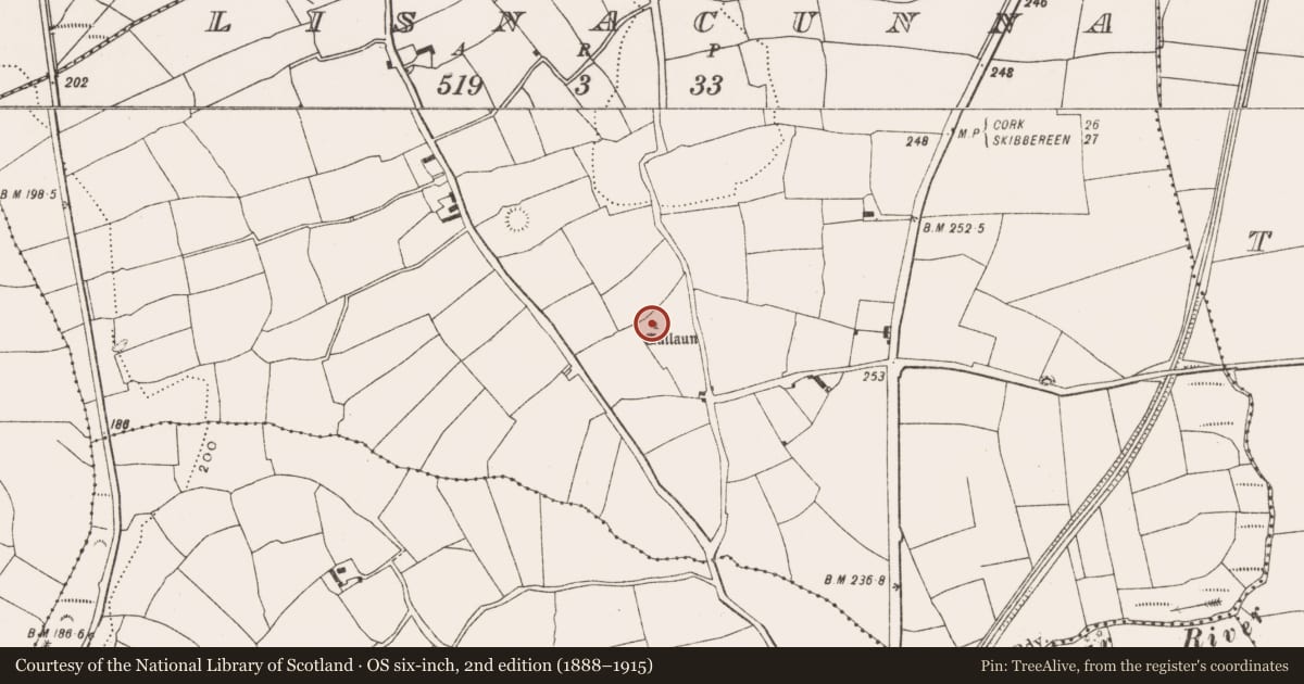 Ordnance Survey six-inch map, 2nd edition (1888–1915) covering the location of Standing stone, Lisnacunna, County Cork, with a pin at the register's coordinates