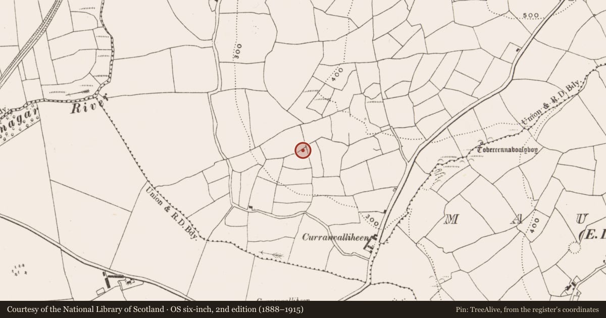 Ordnance Survey six-inch map, 2nd edition (1888–1915) covering the location of Burial ground, Tullymurrihy, County Cork, with a pin at the register's coordinates