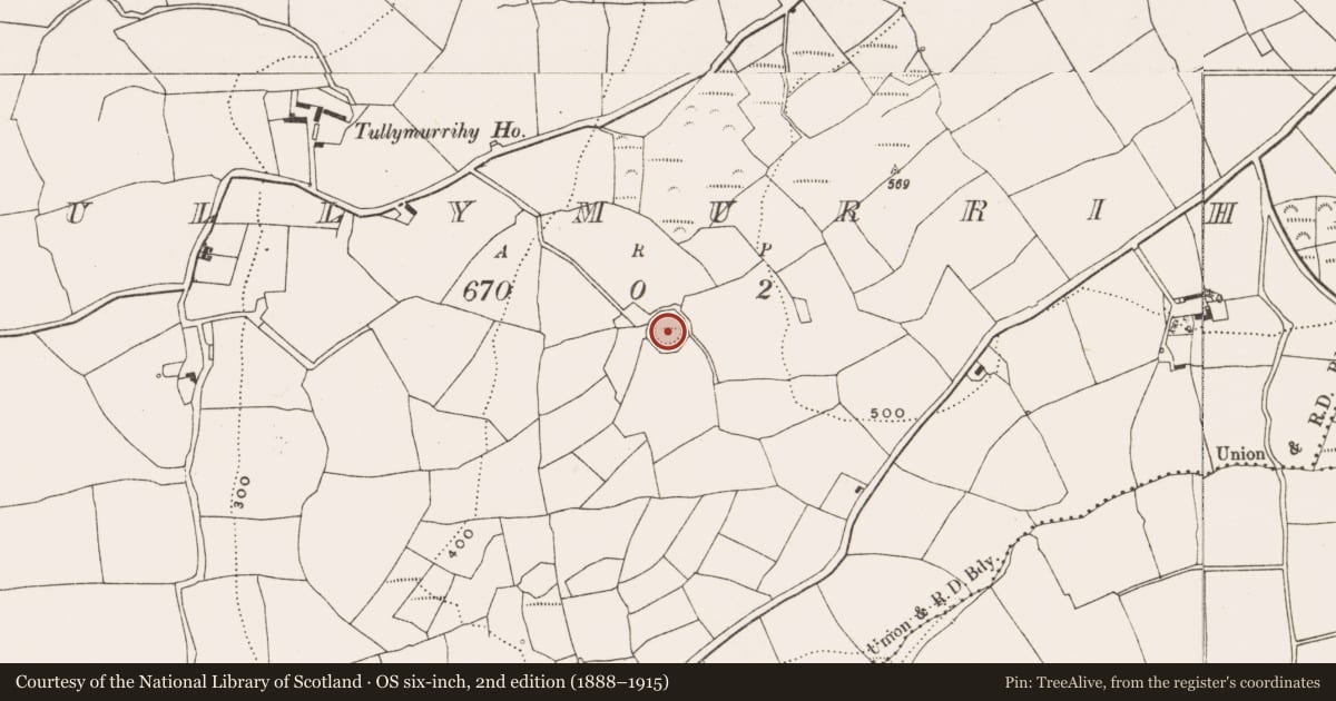 Ordnance Survey six-inch map, 2nd edition (1888–1915) covering the location of Souterrain, Tullymurrihy, County Cork, with a pin at the register's coordinates