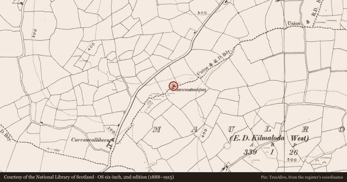 Ordnance Survey six-inch map, 2nd edition (1888–1915) covering the location of Ritual site - holy well, Tullymurrihy, County Cork, with a pin at the register's coordinates