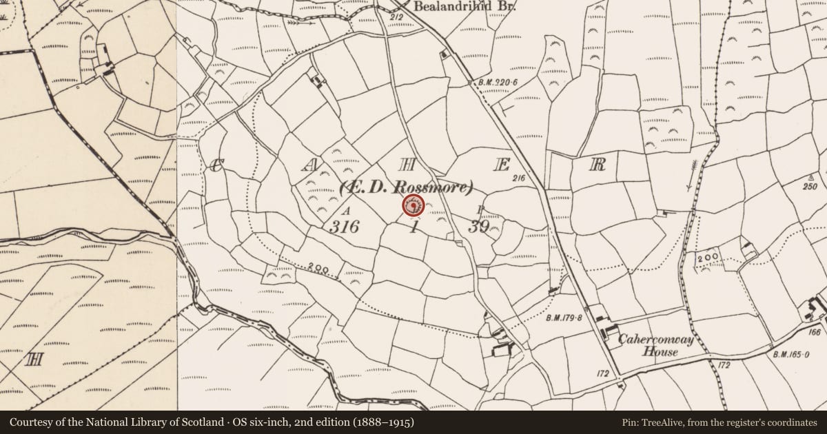 Ordnance Survey six-inch map, 2nd edition (1888–1915) covering the location of Ringfort - rath, Caher (Carbery E. (W.D.) By., Kilmeen Par.), County Cork, with a pin at the register's coordinates