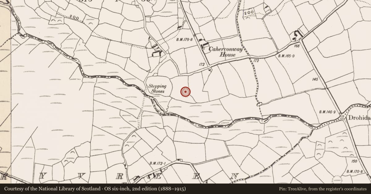 Ordnance Survey six-inch map, 2nd edition (1888–1915) covering the location of Ringfort - rath, Caher (Carbery E. (W.D.) By., Kilmeen Par.), County Cork, with a pin at the register's coordinates