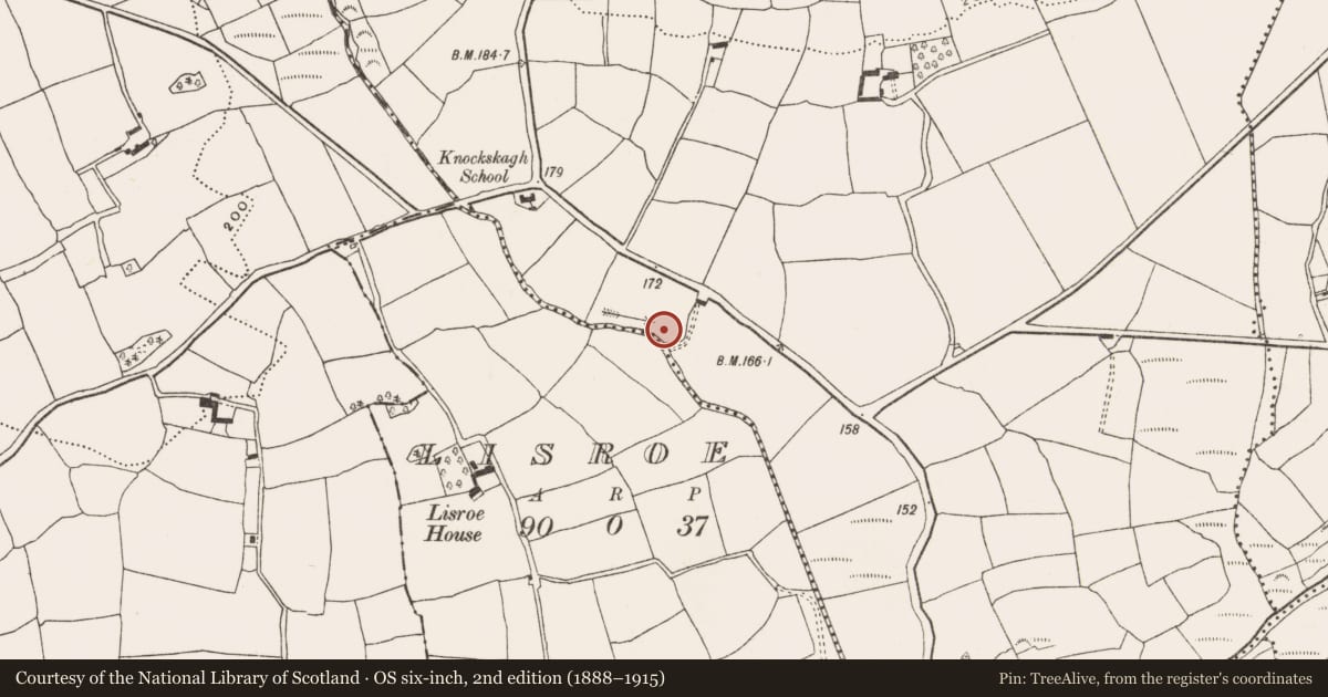 Ordnance Survey six-inch map, 2nd edition (1888–1915) covering the location of Fulacht fia, Knockskagh, County Cork, with a pin at the register's coordinates