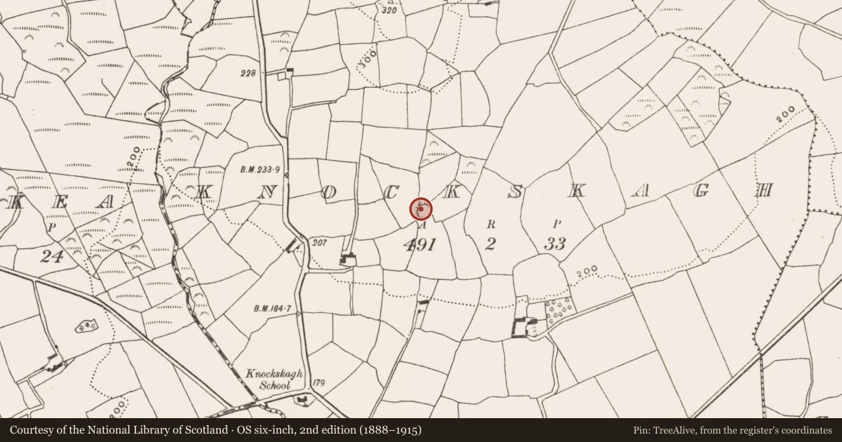 Ordnance Survey six-inch map, 2nd edition (1888–1915) covering the location of Ringfort - rath, Knockskagh, County Cork, with a pin at the register's coordinates