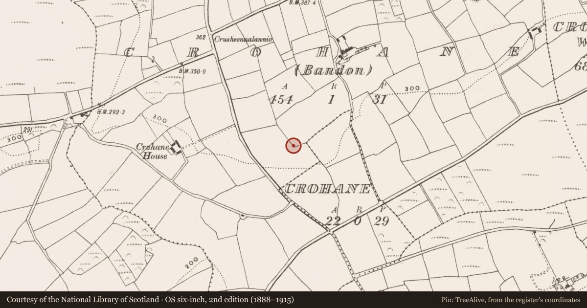 Ordnance Survey six-inch map, 2nd edition (1888–1915) covering the location of Ringfort - rath, Crohane (Carbery East By., Kilnagross Par.), County Cork, with a pin at the register's coordinates