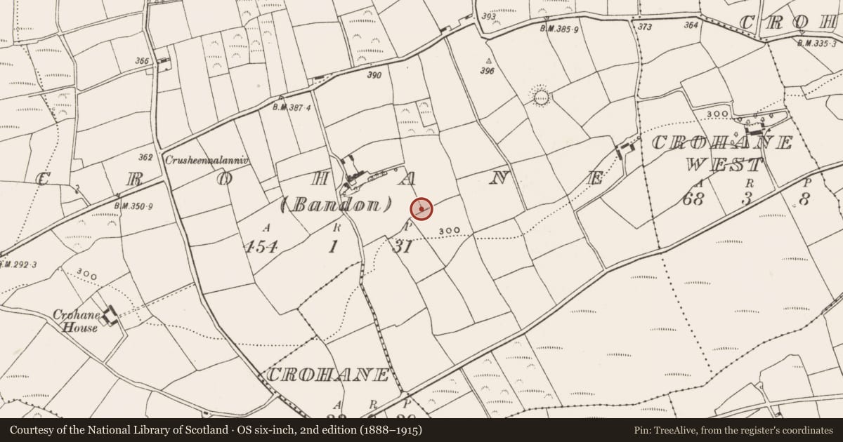 Ordnance Survey six-inch map, 2nd edition (1888–1915) covering the location of Ringfort - rath, Crohane (Bandon) (Carbery East By., Desertserges Par.), County Cork, with a pin at the register's coordinates