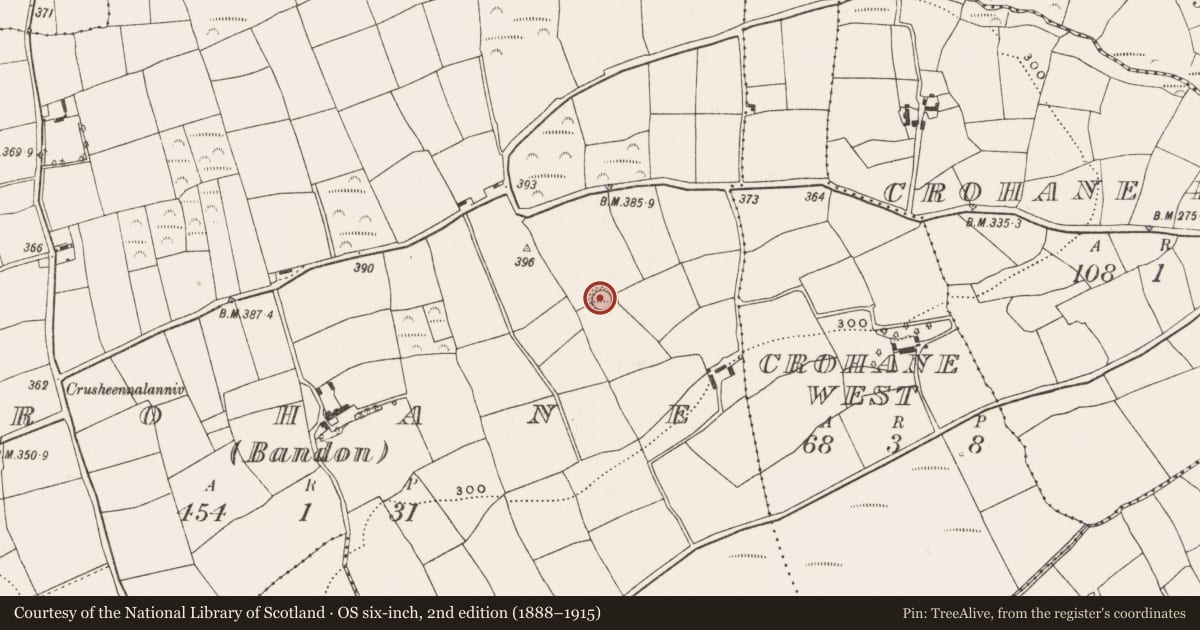 Ordnance Survey six-inch map, 2nd edition (1888–1915) covering the location of Ringfort - rath, Crohane (Bandon) (Carbery East By., Desertserges Par.), County Cork, with a pin at the register's coordinates