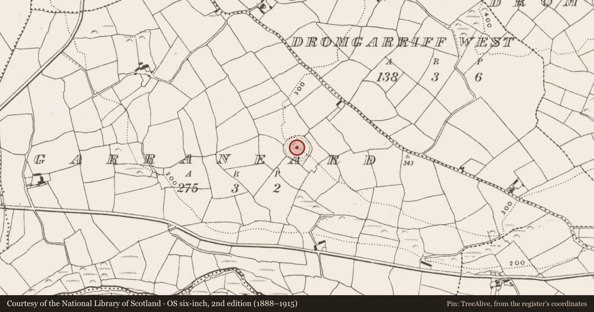 Ordnance Survey six-inch map, 2nd edition (1888–1915) covering the location of Ringfort - rath, Garraneard, County Cork, with a pin at the register's coordinates