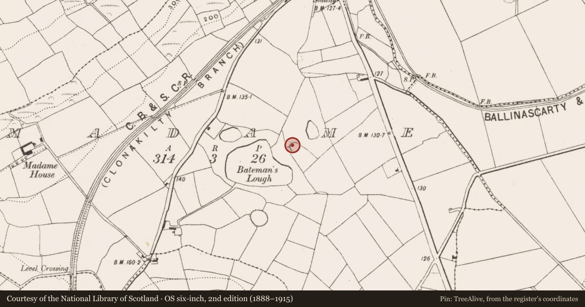 Ordnance Survey six-inch map, 2nd edition (1888–1915) covering the location of Ringfort - rath, Madame, County Cork, with a pin at the register's coordinates