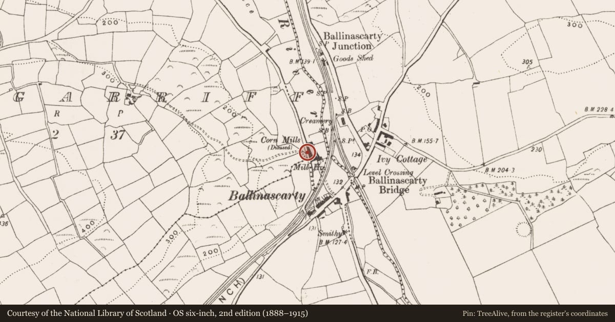 Ordnance Survey six-inch map, 2nd edition (1888–1915) covering the location of Mill - corn, Dromgarriff, County Cork, with a pin at the register's coordinates