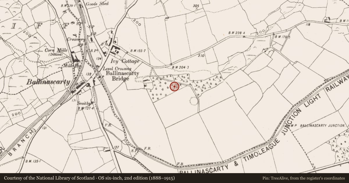 Ordnance Survey six-inch map, 2nd edition (1888–1915) covering the location of Souterrain, Ahalisky, County Cork, with a pin at the register's coordinates