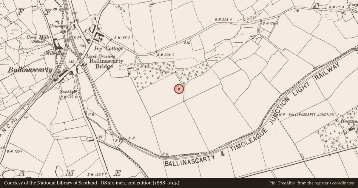 Ordnance Survey six-inch map, 2nd edition (1888–1915) covering the location of Ringfort - rath, Ahalisky, County Cork, with a pin at the register's coordinates