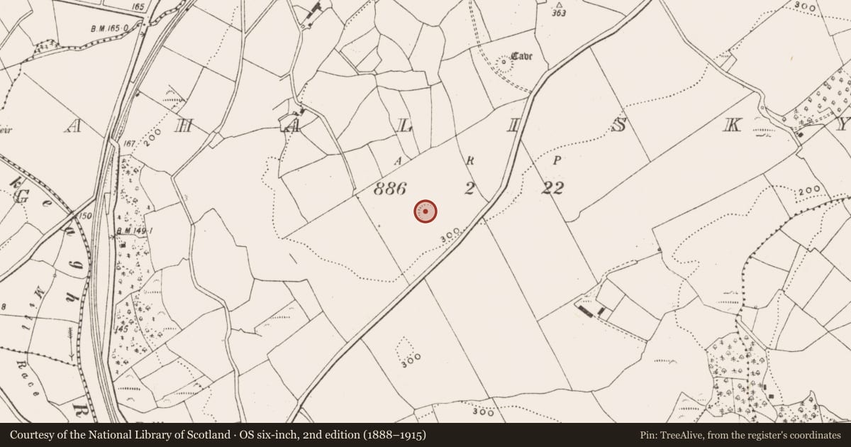 Ordnance Survey six-inch map, 2nd edition (1888–1915) covering the location of Ringfort - rath, Ahalisky, County Cork, with a pin at the register's coordinates