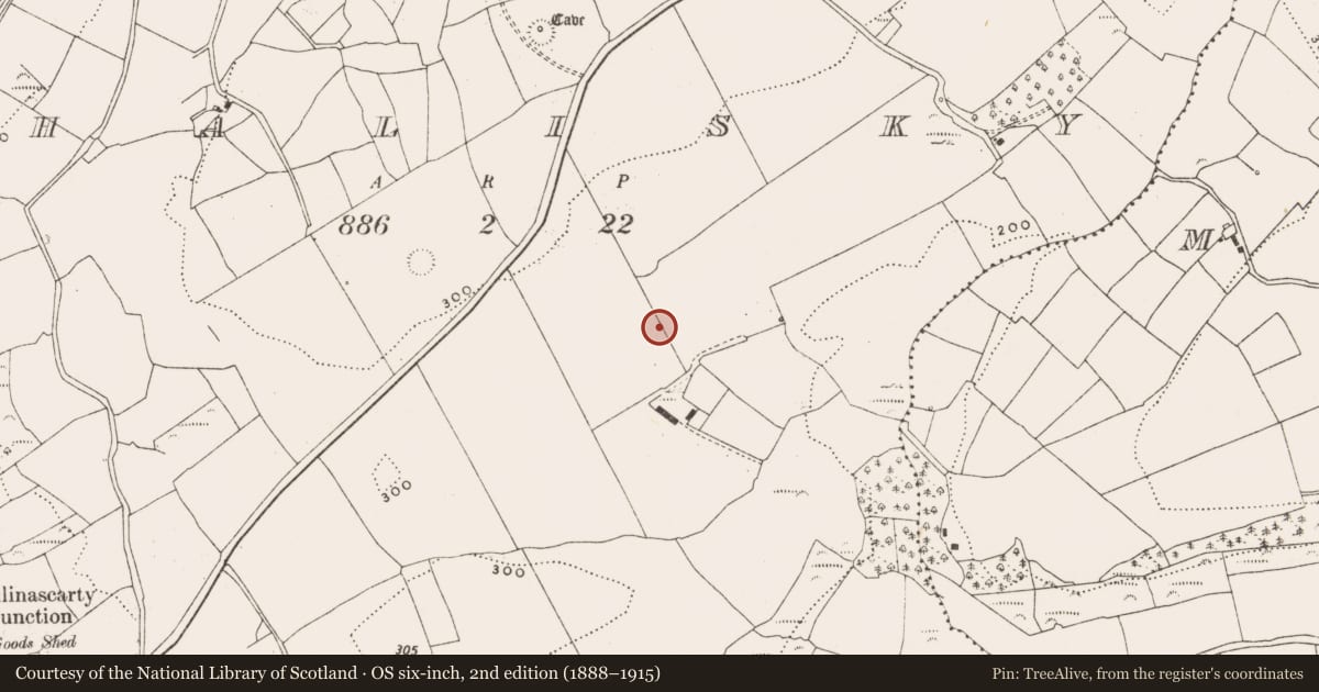 Ordnance Survey six-inch map, 2nd edition (1888–1915) covering the location of Enclosure, Ahalisky, County Cork, with a pin at the register's coordinates
