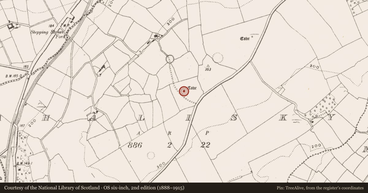 Ordnance Survey six-inch map, 2nd edition (1888–1915) covering the location of Ringfort - rath, Ahalisky, County Cork, with a pin at the register's coordinates