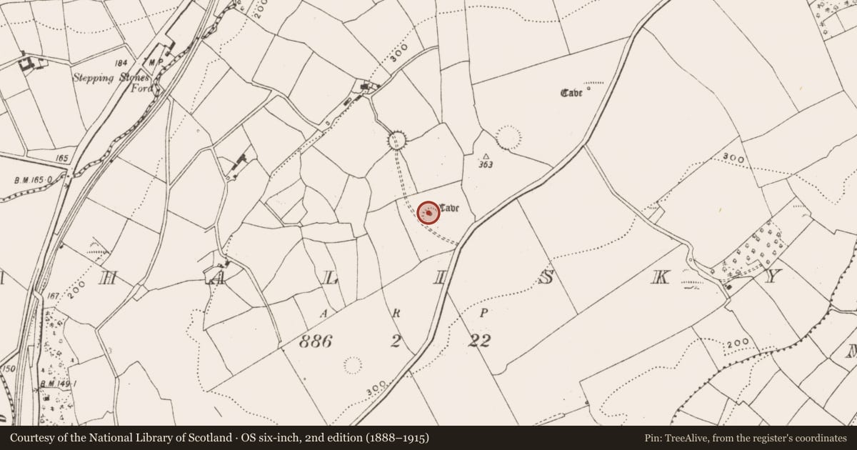 Ordnance Survey six-inch map, 2nd edition (1888–1915) covering the location of Ogham stone, Ahalisky, County Cork, with a pin at the register's coordinates