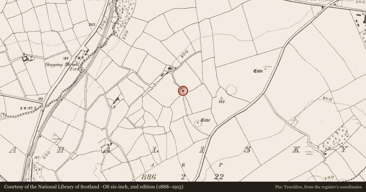 Ordnance Survey six-inch map, 2nd edition (1888–1915) covering the location of Ringfort - rath, Ahalisky, County Cork, with a pin at the register's coordinates