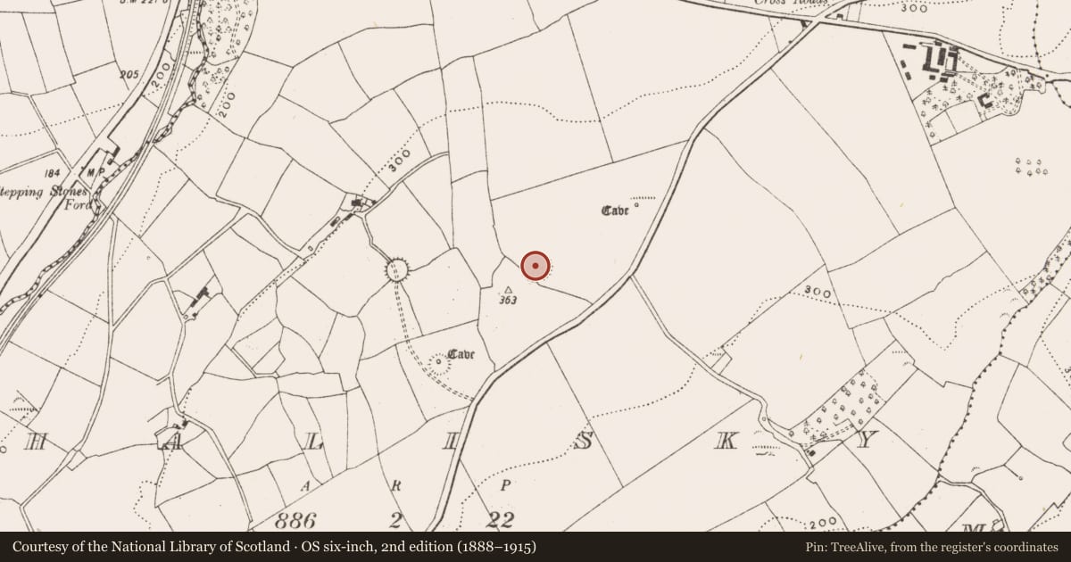 Ordnance Survey six-inch map, 2nd edition (1888–1915) covering the location of Ringfort - rath, Ahalisky, County Cork, with a pin at the register's coordinates