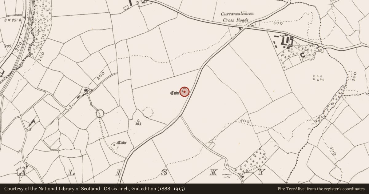 Ordnance Survey six-inch map, 2nd edition (1888–1915) covering the location of Ringfort - rath, Ahalisky, County Cork, with a pin at the register's coordinates
