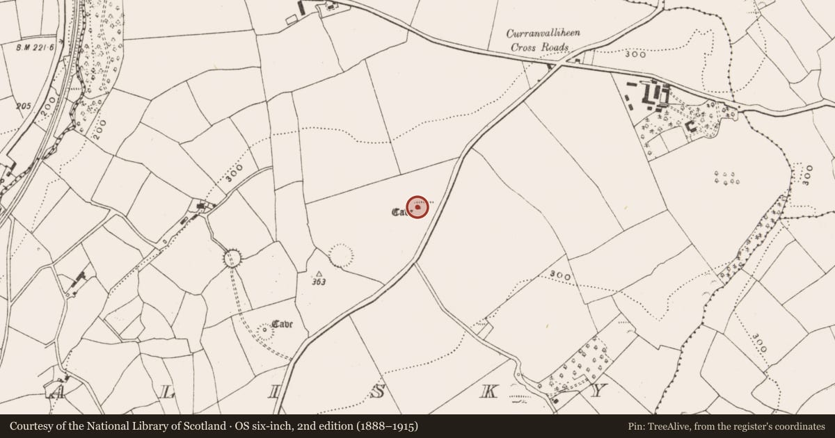 Ordnance Survey six-inch map, 2nd edition (1888–1915) covering the location of Souterrain, Ahalisky, County Cork, with a pin at the register's coordinates